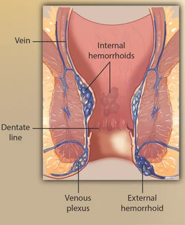 digestive-doctors-near-me-cypress-tx content image 1